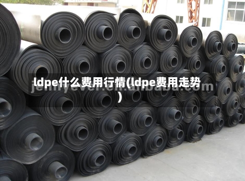 ldpe什么费用行情(ldpe费用走势)