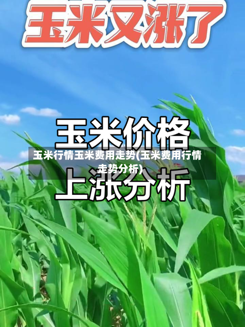玉米行情玉米费用走势(玉米费用行情走势分析)