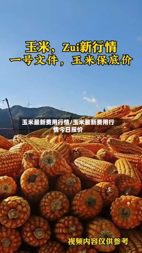 玉米最新费用行情/玉米最新费用行情今日报价-第2张图片