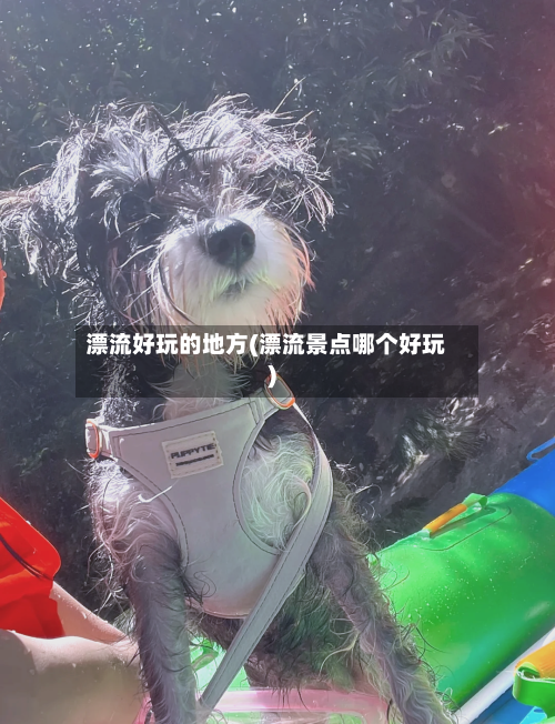 漂流好玩的地方(漂流景点哪个好玩)