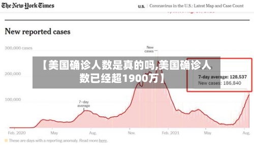 【美国确诊人数是真的吗,美国确诊人数已经超1900万】-第2张图片