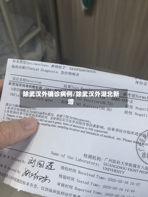 除武汉外确诊病例/除武汉外湖北新增