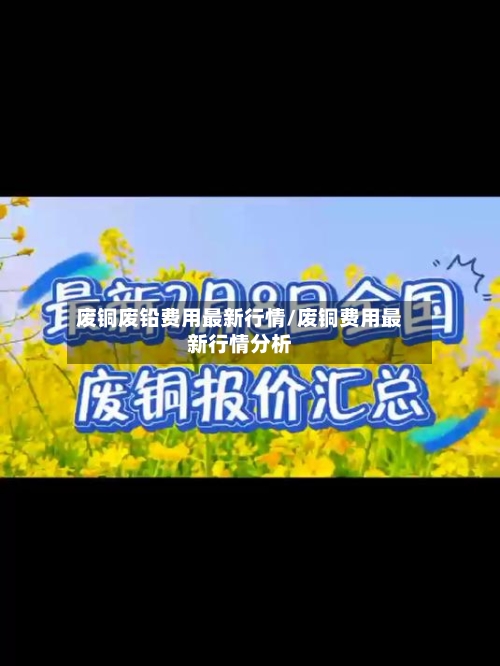废铜废铅费用最新行情/废铜费用最新行情分析