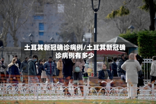 土耳其新冠确诊病例/土耳其新冠确诊病例有多少-第2张图片