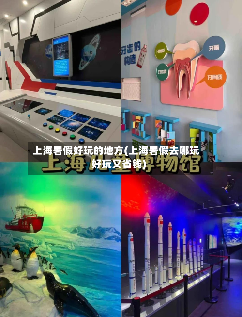 上海暑假好玩的地方(上海暑假去哪玩好玩又省钱)-第2张图片