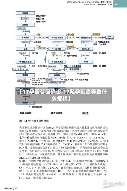 【17孕酮召回确诊,17羟孕酮高导致什么症状】-第3张图片