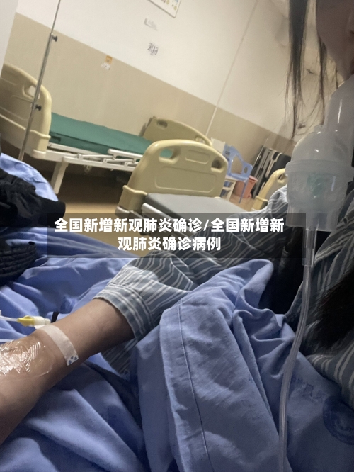 全国新增新观肺炎确诊/全国新增新观肺炎确诊病例-第3张图片