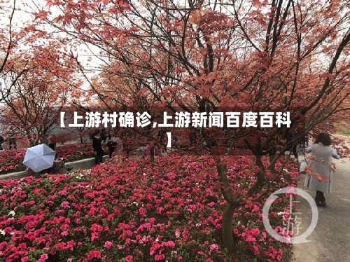 【上游村确诊,上游新闻百度百科】