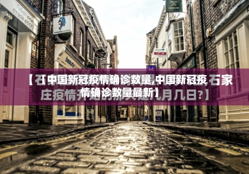 【中国新冠疫情确诊数量,中国新冠疫情确诊数量最新】-第3张图片