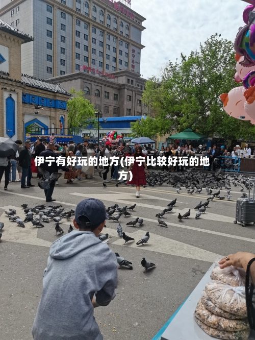 伊宁有好玩的地方(伊宁比较好玩的地方)