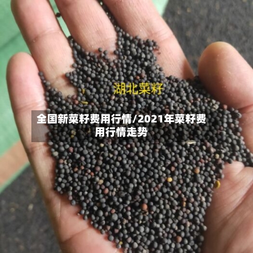 全国新菜籽费用行情/2021年菜籽费用行情走势