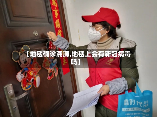 【地毯确诊溯源,地毯上会有新冠病毒吗】-第2张图片