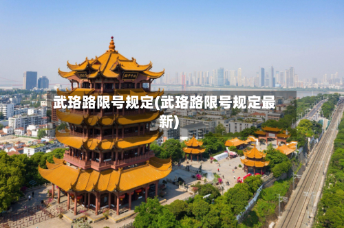武珞路限号规定(武珞路限号规定最新)