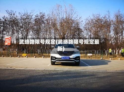 武珞路限号规定(武珞路限号规定最新)-第2张图片
