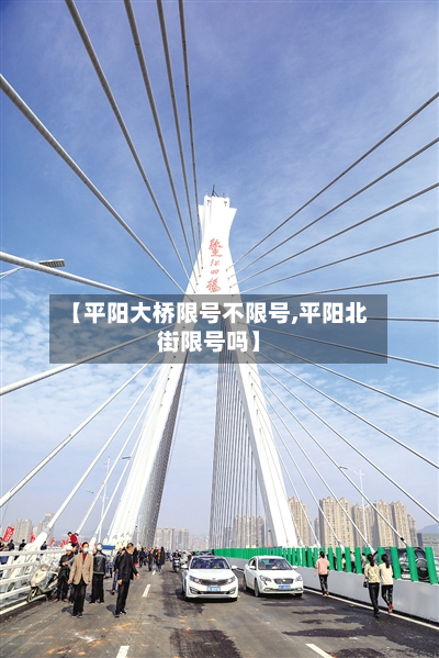 【平阳大桥限号不限号,平阳北街限号吗】