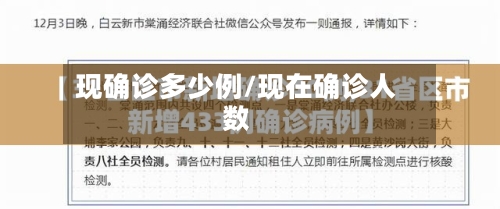 现确诊多少例/现在确诊人数