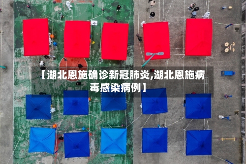 【湖北恩施确诊新冠肺炎,湖北恩施病毒感染病例】-第1张图片