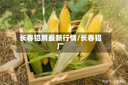 长春铝屑最新行情/长春铝厂