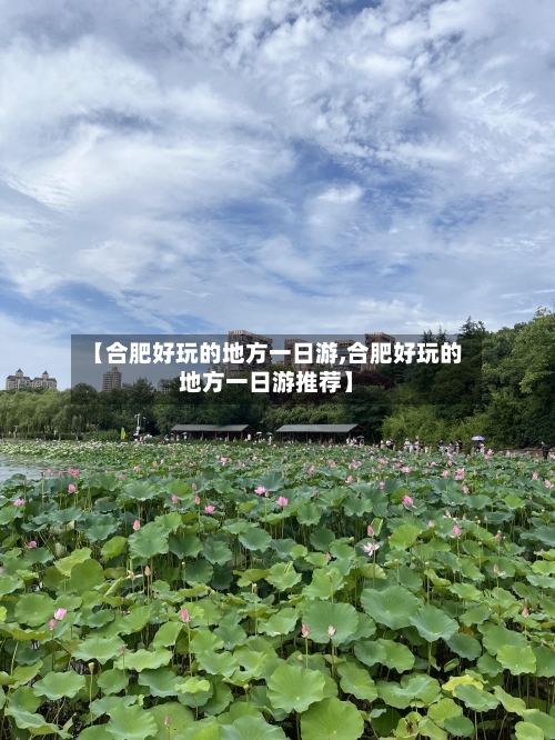 【合肥好玩的地方一日游,合肥好玩的地方一日游推荐】