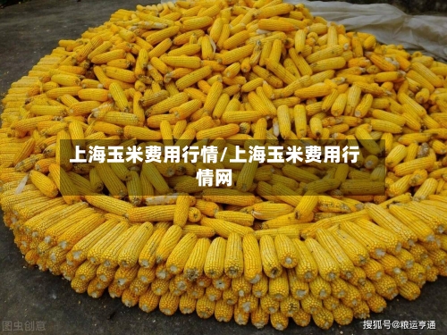 上海玉米费用行情/上海玉米费用行情网