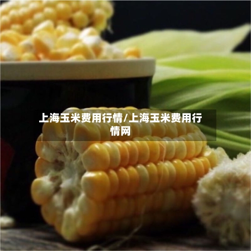 上海玉米费用行情/上海玉米费用行情网-第2张图片
