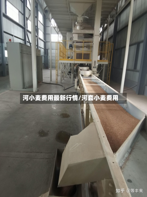 河小麦费用最新行情/河套小麦费用