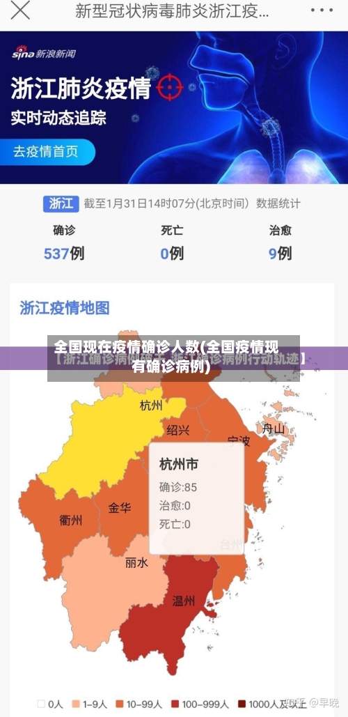 全国现在疫情确诊人数(全国疫情现有确诊病例)-第1张图片