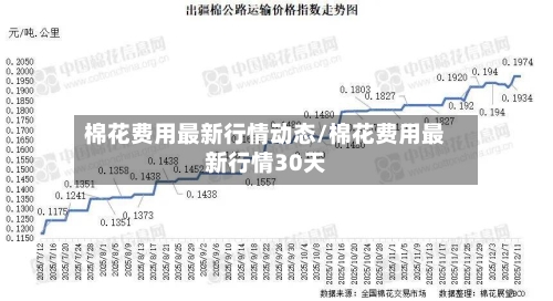 棉花费用最新行情动态/棉花费用最新行情30天-第1张图片