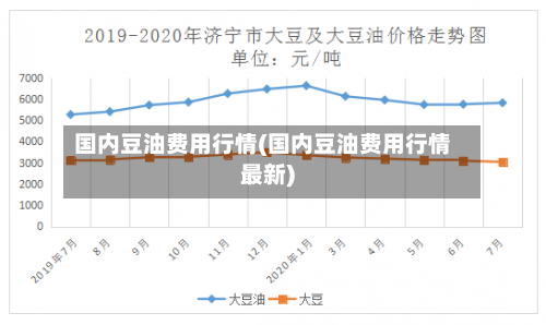国内豆油费用行情(国内豆油费用行情最新)-第2张图片
