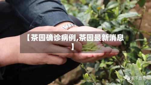 【茶园确诊病例,茶园最新消息】-第3张图片
