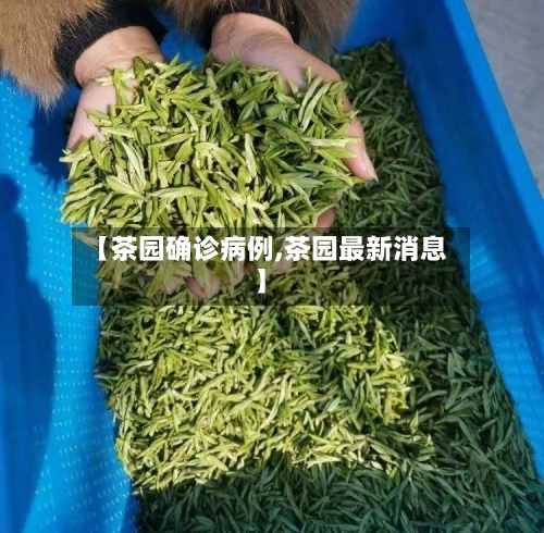 【茶园确诊病例,茶园最新消息】