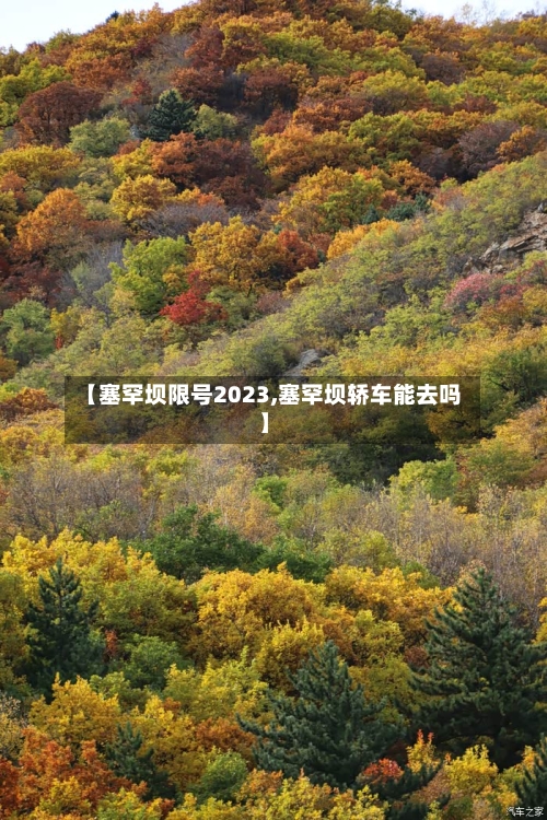 【塞罕坝限号2023,塞罕坝轿车能去吗】