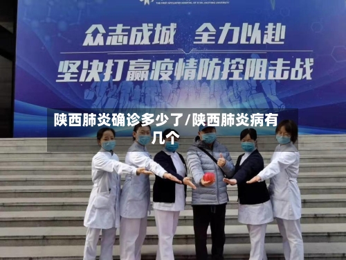 陕西肺炎确诊多少了/陕西肺炎病有几个-第1张图片