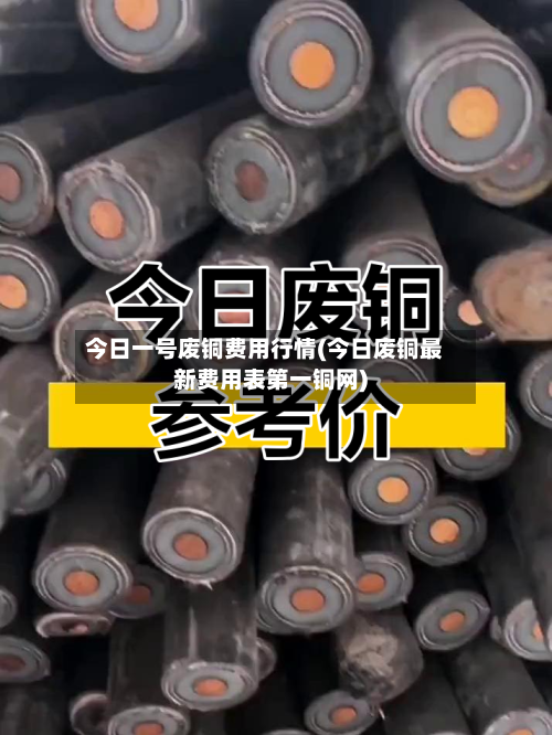 今日一号废铜费用行情(今日废铜最新费用表第一铜网)