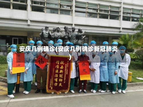 安庆几例确诊(安庆几例确诊新冠肺炎)-第1张图片