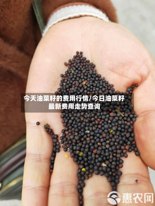 今天油菜籽的费用行情/今日油菜籽最新费用走势查询-第3张图片