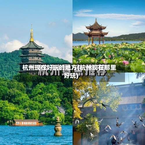 杭州现在好玩的地方(杭州现在那里好玩)