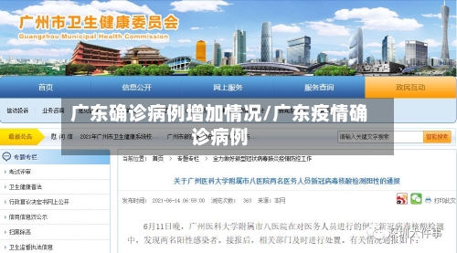广东确诊病例增加情况/广东疫情确诊病例-第2张图片