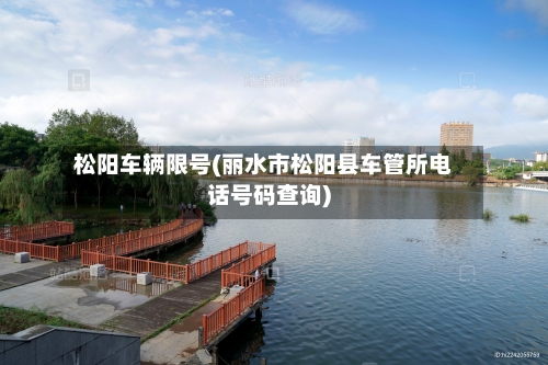松阳车辆限号(丽水市松阳县车管所电话号码查询)-第1张图片