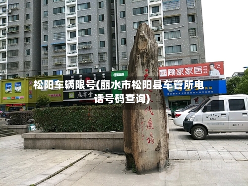 松阳车辆限号(丽水市松阳县车管所电话号码查询)-第3张图片