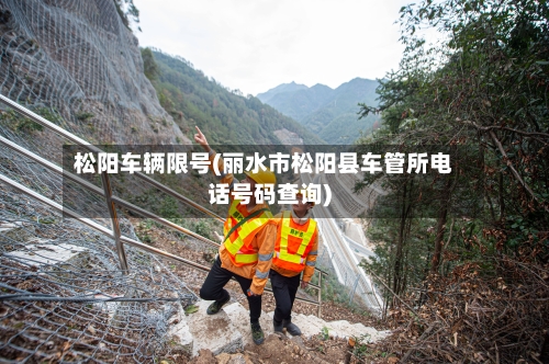 松阳车辆限号(丽水市松阳县车管所电话号码查询)-第2张图片