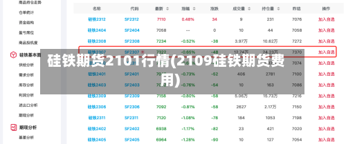 硅铁期货2101行情(2109硅铁期货费用)