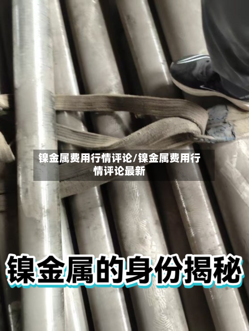镍金属费用行情评论/镍金属费用行情评论最新-第2张图片