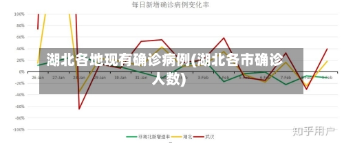 湖北各地现有确诊病例(湖北各市确诊人数)
