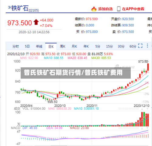 普氏铁矿石期货行情/普氏铁矿费用-第1张图片