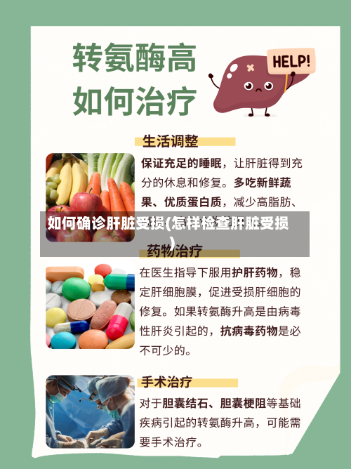 如何确诊肝脏受损(怎样检查肝脏受损)-第1张图片