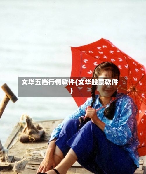 文华五档行情软件(文华股票软件)