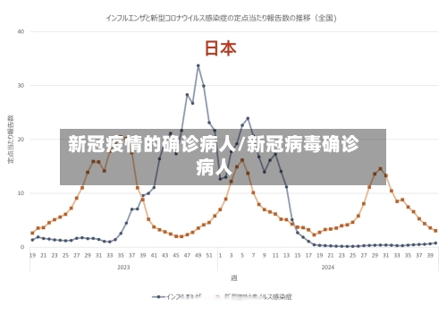 新冠疫情的确诊病人/新冠病毒确诊病人