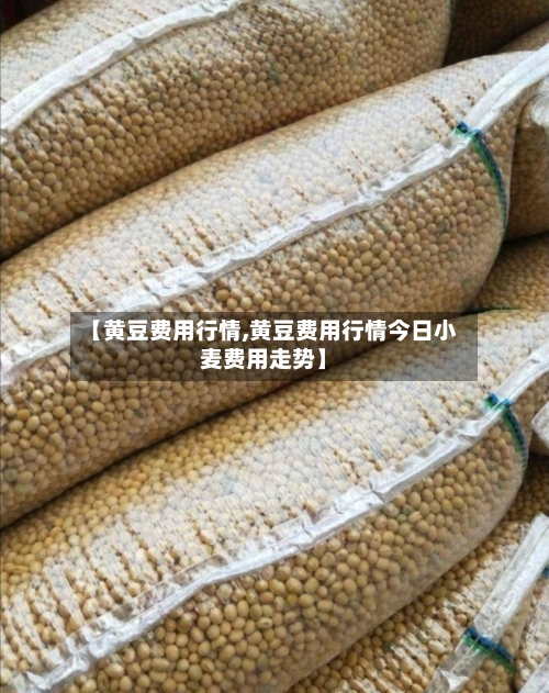 【黄豆费用行情,黄豆费用行情今日小麦费用走势】-第3张图片