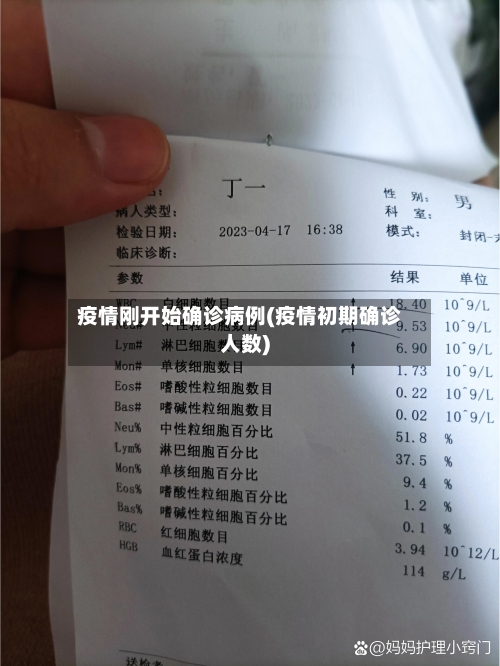 疫情刚开始确诊病例(疫情初期确诊人数)-第2张图片